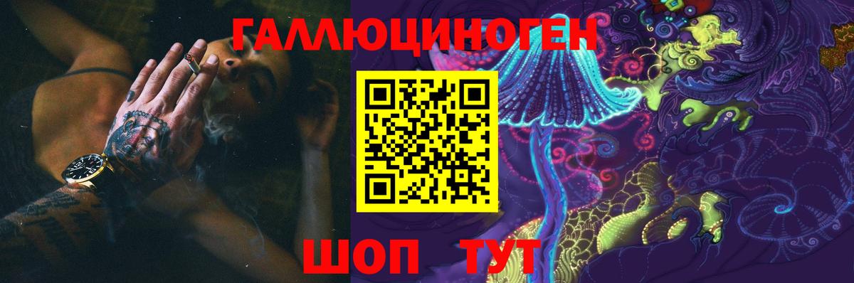Галлюциногенные грибы Psilocybe  Вход с VPN  Котовск 